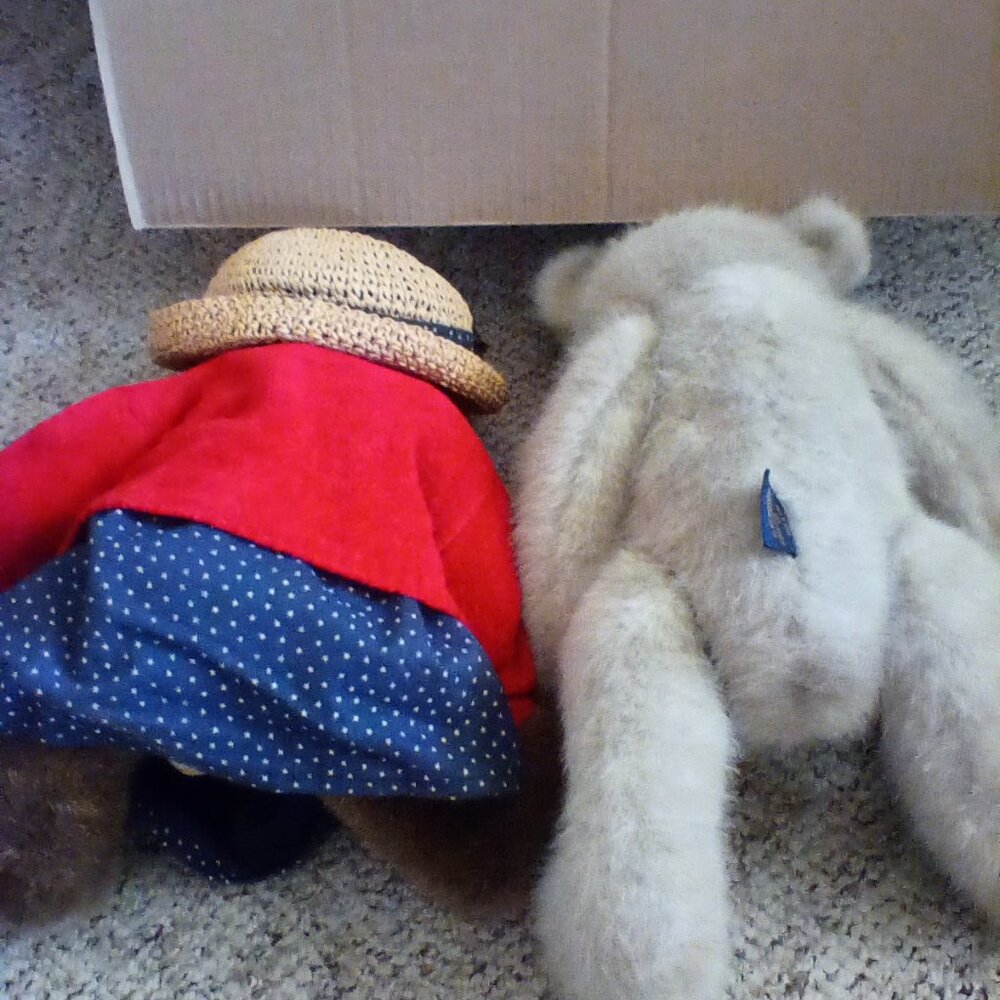 Boyd's bear - Picture 2 of 2